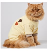 Winter Hearts Kedi Tulumu Pamuklu Polar Kedi Kıyafeti Küçük Irklar İçin Tüy Dökülmesini Azaltır