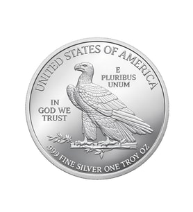 AgaKulche Amerikan Kartalı Gümüş Sikke Coin