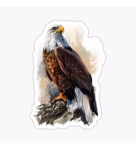 Araba için Kartal Oto Sticker Yapıştırması Etiket  17CM aa5