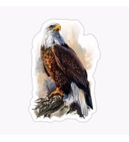Araba için Kartal Oto Sticker Yapıştırması Etiket  17CM aa5