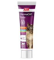 Bio Pet Active Derma Cat Cilt Sağlığı Destekleyici Kedi Vitamin Macunu