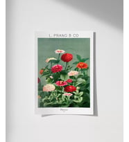 Çerçevesiz Poster L. Prang Çiçekler (Çok Renkli)