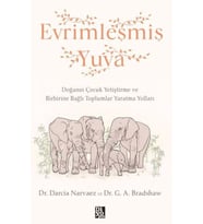 Evrimleşmiş Yuva