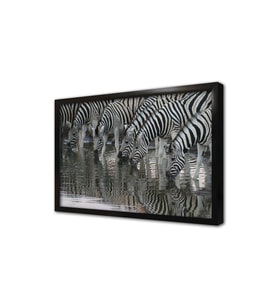 Zebra Sürüsü Çerçeveli Mdf Tablo
