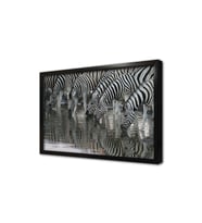 Zebra Sürüsü Çerçeveli Mdf Tablo