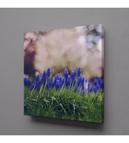 MOR ÇİÇEK TARLASI KANVAS TABLO 25x25cm (Karışık)