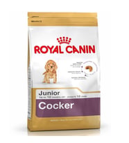 Royal Canin Cocker Junior Yavru Köpek Mamasi 3 Kg
