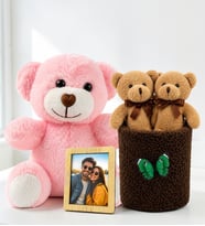 Kişiye Özel Fotoğraflı Pembe Peluş Ayıcık ve Peluş Saksıda Ayıcık Buketi Arkadaşa Kadına Sevgiliye Hediye Seti