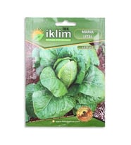 Tohum Marul Lıtal 5gr 1 Adet