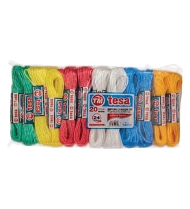 Temsan 20 Metre Naylon Çamaşır İpi 24'lü