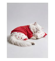 Tatlı Çilek Kedi Rüyası Pamuklu Çilekli Kedi Tulumu, Kırmızı Sweatshirt ve Mini Yastık 3Parça