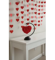 KALP STANDI