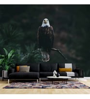 Kartal Temalı Duvar Kağıdı Baskı