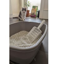 KEDİ PİSLİĞİ TEMİZLEME KÜREĞİ (Beyaz)