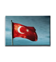 Türk Bayrağı Kanvas Tablo ABY105