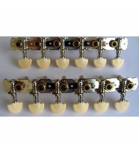 MAXTONE GM66S
