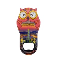 Güney Kore Temalı Baykuş Magnet Kapak Açacak (Karışık)