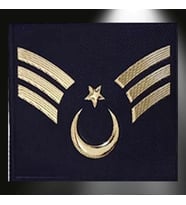 Jandarma Asayiş Yelek İçin Minyatür Astsubay Kıdemli Çavuş 3d Rütbesi, Yeni Tip Cırtlı, Standart Ölçü, 1.sınıf (Çok Renkli)