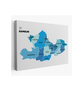 Samsun İli ve İlçeler Haritası  Dekoratif Kanvas Tablo 1447