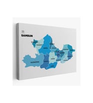 Samsun İli ve İlçeler Haritası  Dekoratif Kanvas Tablo 1447