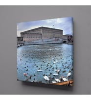 KUĞULAR KANVAS TABLO 110x110cm (Karışık)
