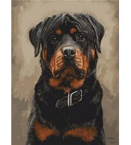 Rotvaydır Sayılarla Boyama Seti(40x50 cm Tuval Şasesine Gerili)
