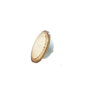 30 watt Gün Işığı Smd Led Havuz Ampulu / Par 56