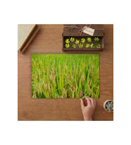 Hasatlık Pirinç Tarlası Tasarımı 240 parça Ahşap Puzzle Ahşap Kutuda MP10988