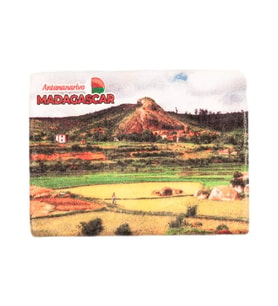 Madagaskar Temalı Taş Magnet