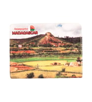 Madagaskar Temalı Taş Magnet (Karışık)