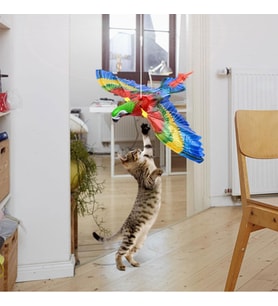 Uçan Papağan Kedi Oyuncağı