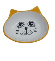 Bio Pet Active Seramik Kedi Mama Kabı 12-15-3,5cm No:9
