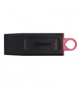KINGSTON KINGSTN 256GB DataTraveler Ex odia DTX/256GB USB 3.2 BELLEK