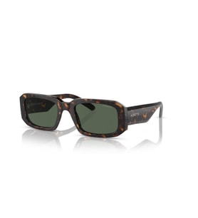 Arnette  0AN4318 12227153 Erkek Güneş Gözlüğü