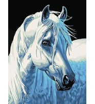 Beyaz At Sayılarla Boyama Seti 40x 50 cm (Tuvale Gerili)