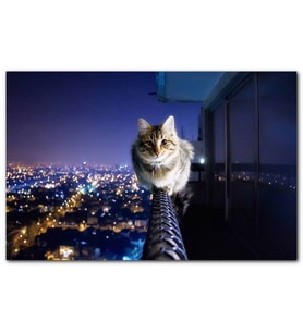 Cakatabloo Balkon Demirindeki Cesur Kedi MDF Tablo