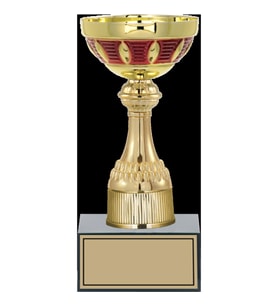 ODAK KUPA - Medium Kupalar - M-031 C - 23 cm