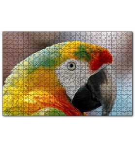 Cakapuzzle Amerikan Papağanı  Puzzle Yapboz MDF (Ahşap) (120 Parça)