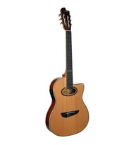 Clariss CCG100CTNTEQ Elektro Klasik Gitar