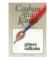 Güneş Salkımı Bütün Eserleri 1