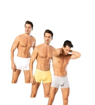 Looksense Erkek Dude 3Lü İnce Bel Lastikli Likralı Boxer 12003 (Çok Renkli)