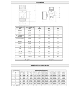CASE 1/2'' 6 BAR EMNİYET VENTİLİ