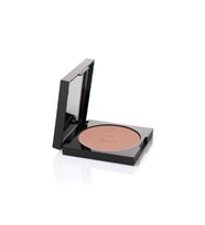 Pierre Cardin Porcelain Edition Blush On - Allık - Pearly Peach (Çok Renkli)