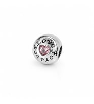CM Jewelry Pembe Kalp Forever Çelik Charm