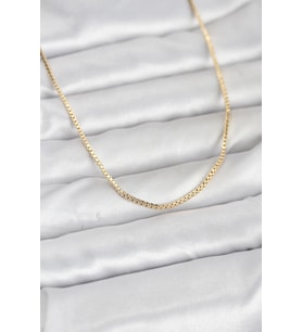 CM 14K Gold Renk Kare Zincirli Model 60 cm Kadın Kolye