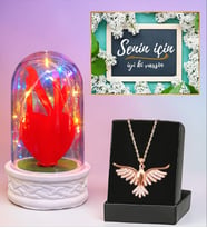 Renkli Led Işıklı Fanus ve Zümrüdü Anka Kuşu Kolye Hediye Seti (Model 6)