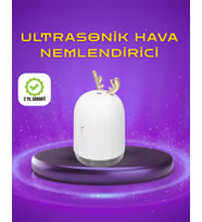 Northcity Renkli LED Işıklı Sürekli Spreyli Masa Nemlendirici - Kuru Hava ve Cilt İçin Mükemmel Çözüm