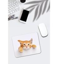 Kedi Desenli Mouse Pad Modelleri 19 Uyumlu