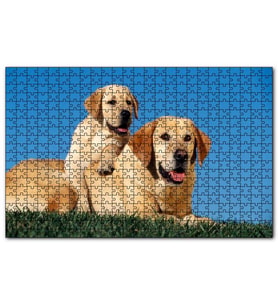 Cakapuzzle Çayırda Anne Labrador ve Yavrusu Puzzle Yapboz MDF (Ahşap) (120 Parça)