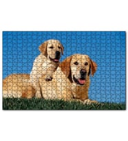 Cakapuzzle Çayırda Anne Labrador ve Yavrusu Puzzle Yapboz MDF (Ahşap) (120 Parça)